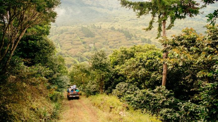 El-Salvador-Stuart Ruta de Las Flores