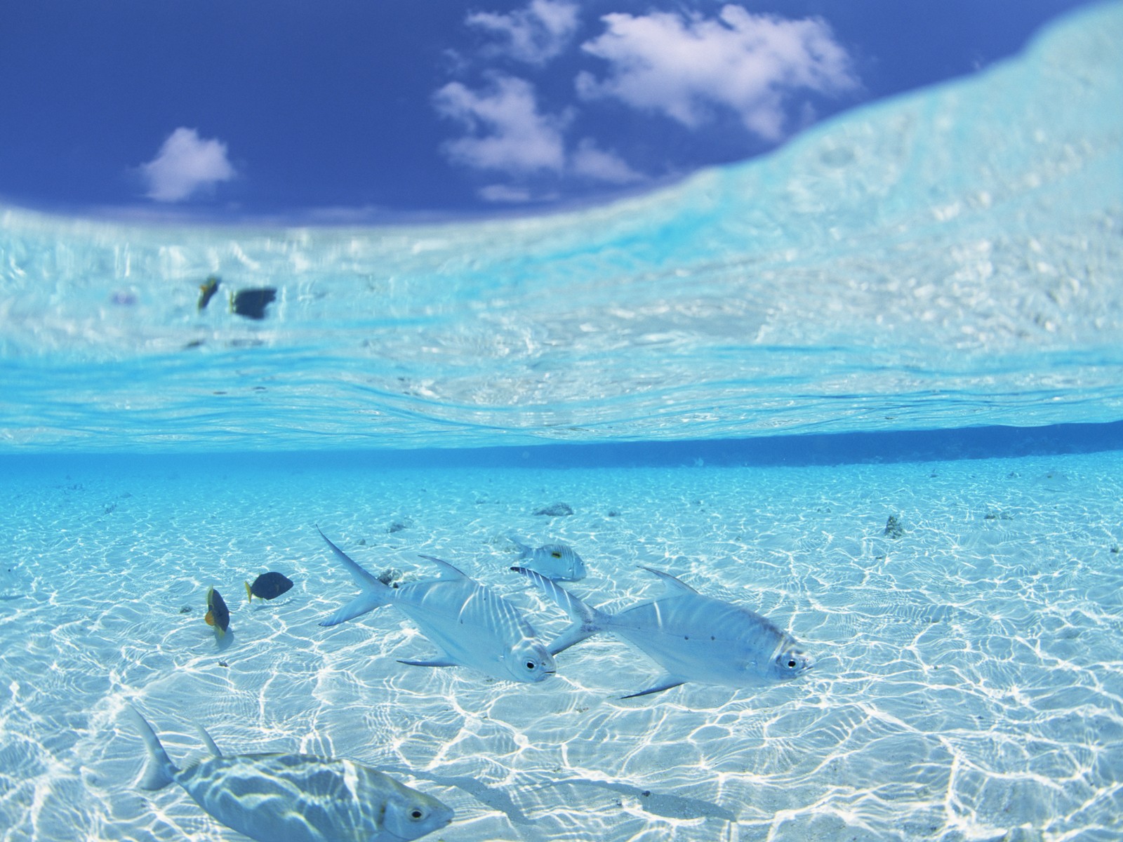 Maldives-photos-maldives-travel-maldives-tourism-maldives-island