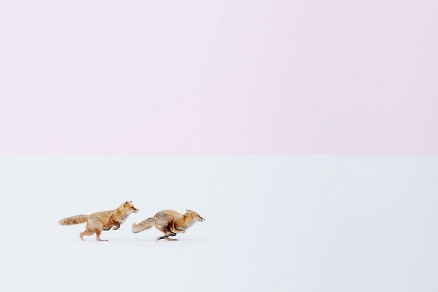 National Geographic travel photography contest winners of 2016 1