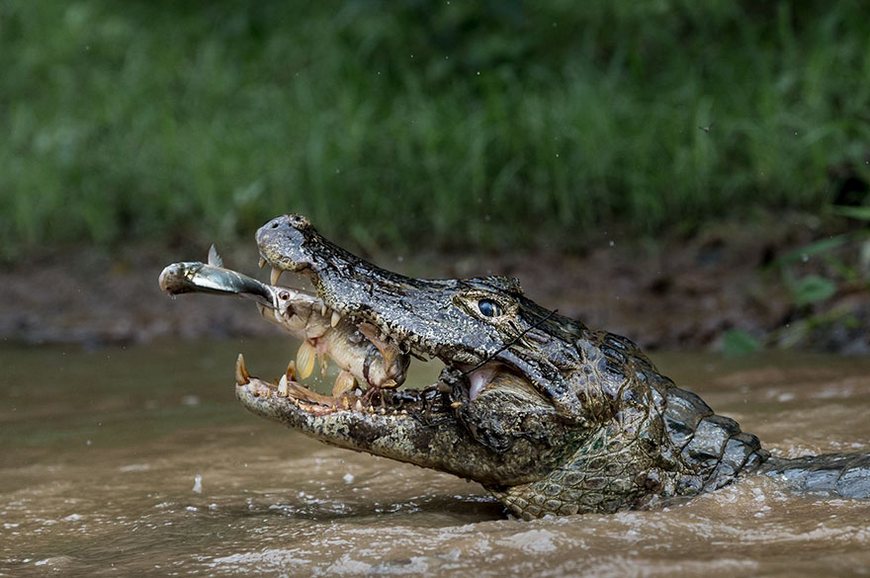 National Geographic travel photography contest winners of 2016 1