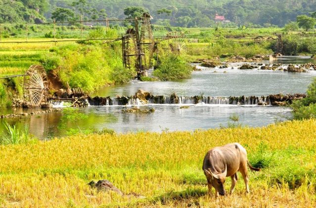 Pu Luong retreat, thanh hoa, vietnam