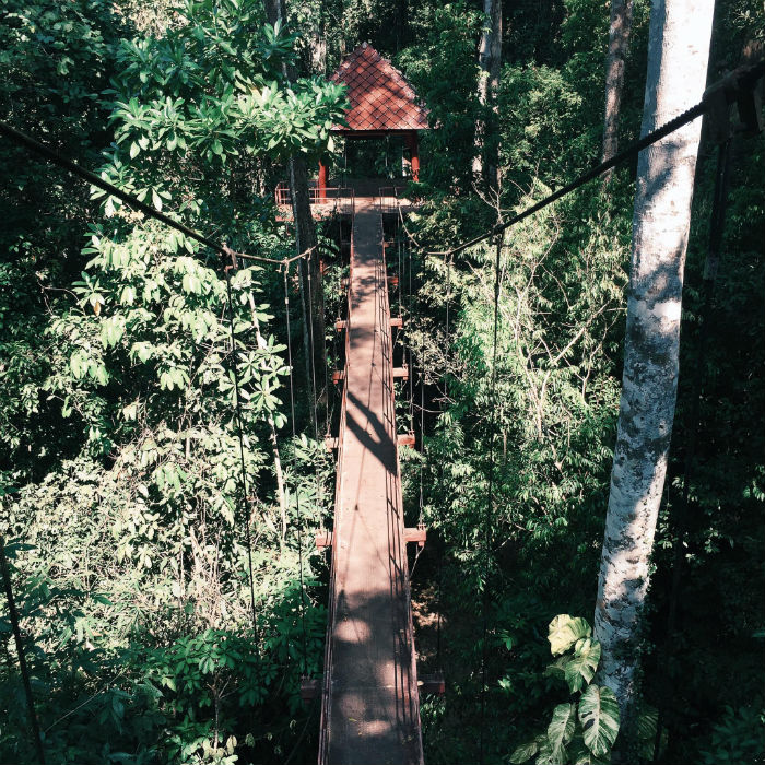 Suspension bridge. Source mytour.vn