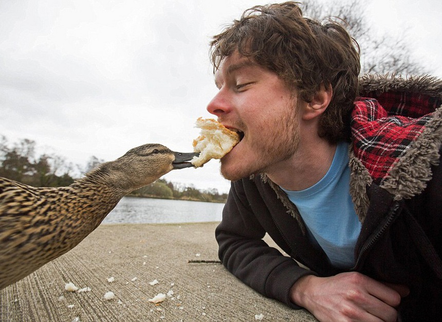allan dixon master selfies with animals 1
