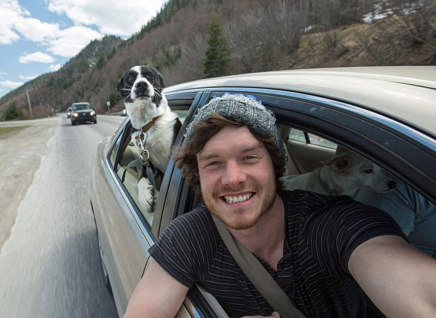 allan dixon master selfies with animals 1