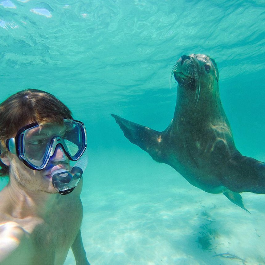 allan dixon master selfies with animals 1