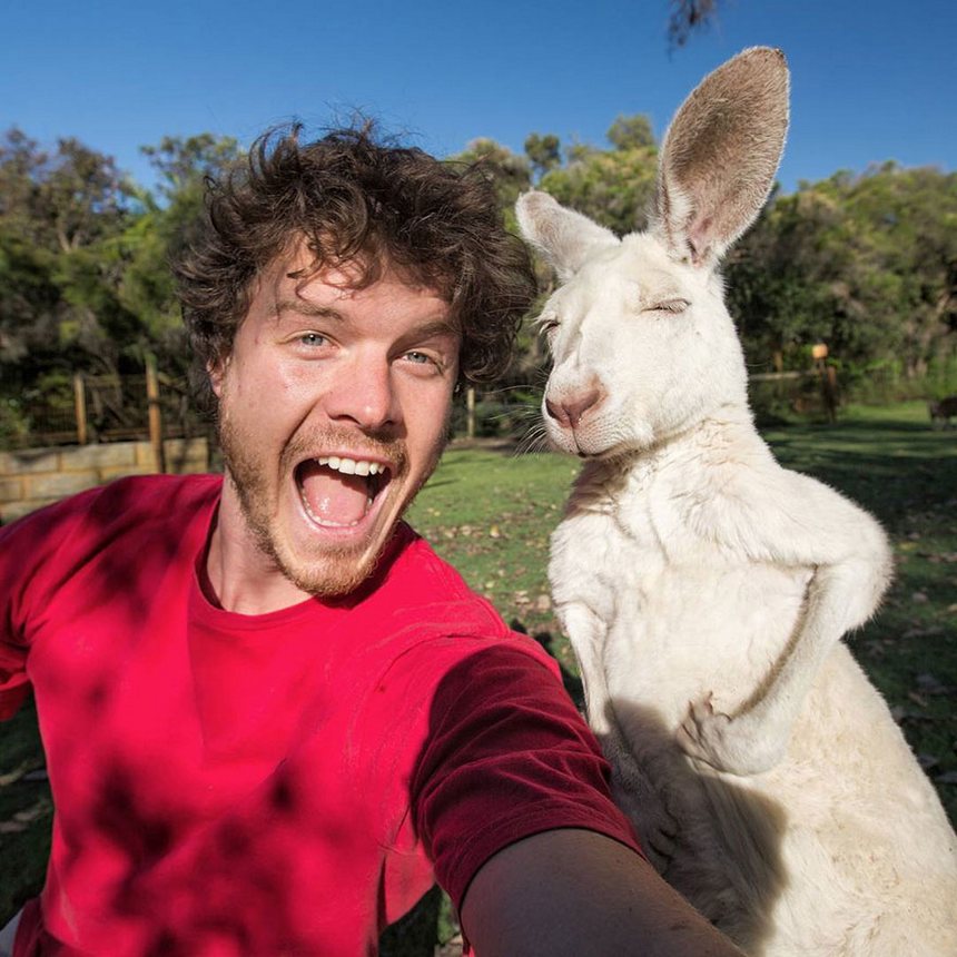 allan dixon master selfies with animals 1