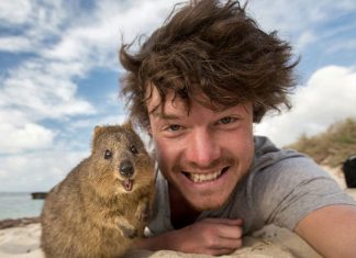 allan dixon master selfies with animals 1