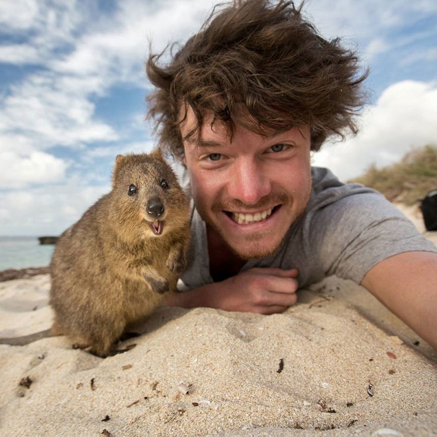 allan dixon master selfies with animals 1