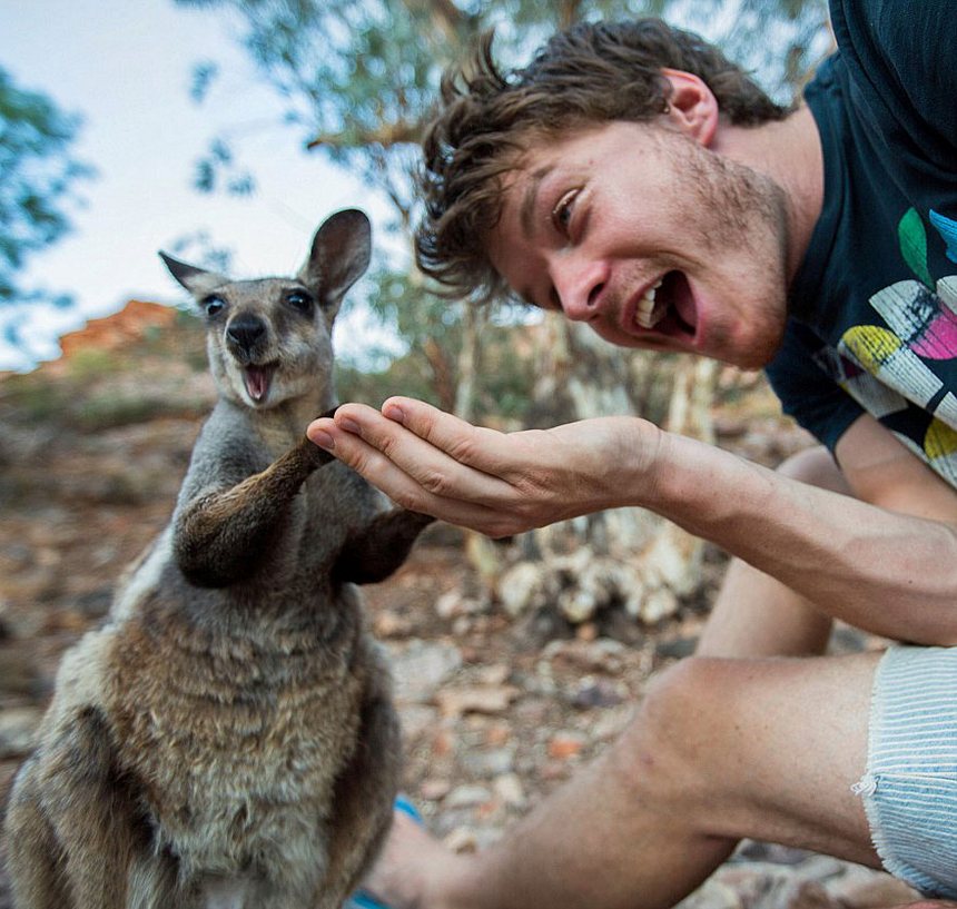 allan dixon master selfies with animals 1