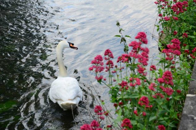 bibury village england uk photos travel photography images how to get there attractions (1)
