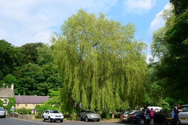 bibury village england uk photos travel photography images how to get there attractions (1)