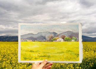 elenae fremova aritst watercolor paintings facebook instagram photos st peterberg (1)