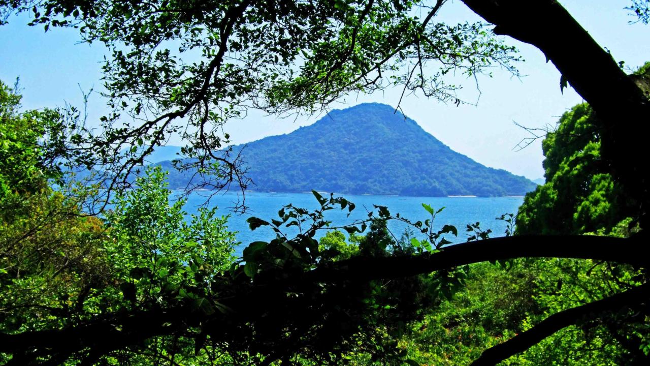 hiroshima bay