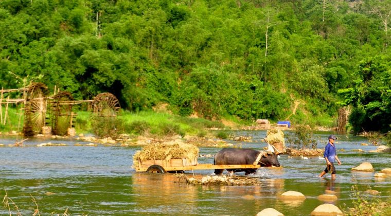 Pu Luong retreat, thanh hoa, vietnam