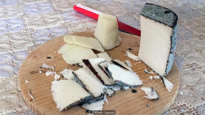 most expensive cheese in the world is produced in Serbia from donkey (1)
