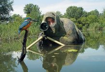 nature photographer wildlife 1