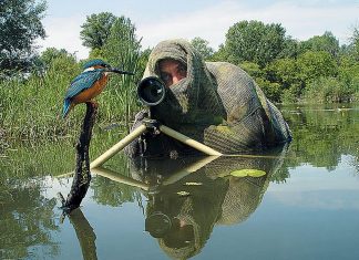nature photographer wildlife 1