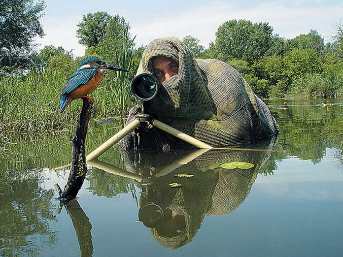 nature photographer wildlife 1