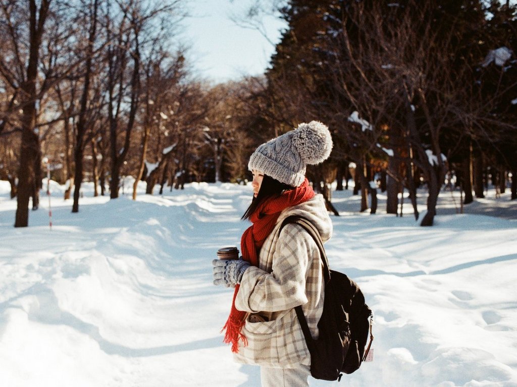 sapporo-has-a-high-snowfall-for-a-large-city