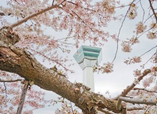 the-goryokaku-tower-also-provides-stunning-views-of-hakodate