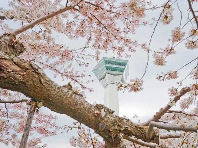 the-goryokaku-tower-also-provides-stunning-views-of-hakodate the-goryokaku-tower-also-provides-stunning-views-of-hakodate