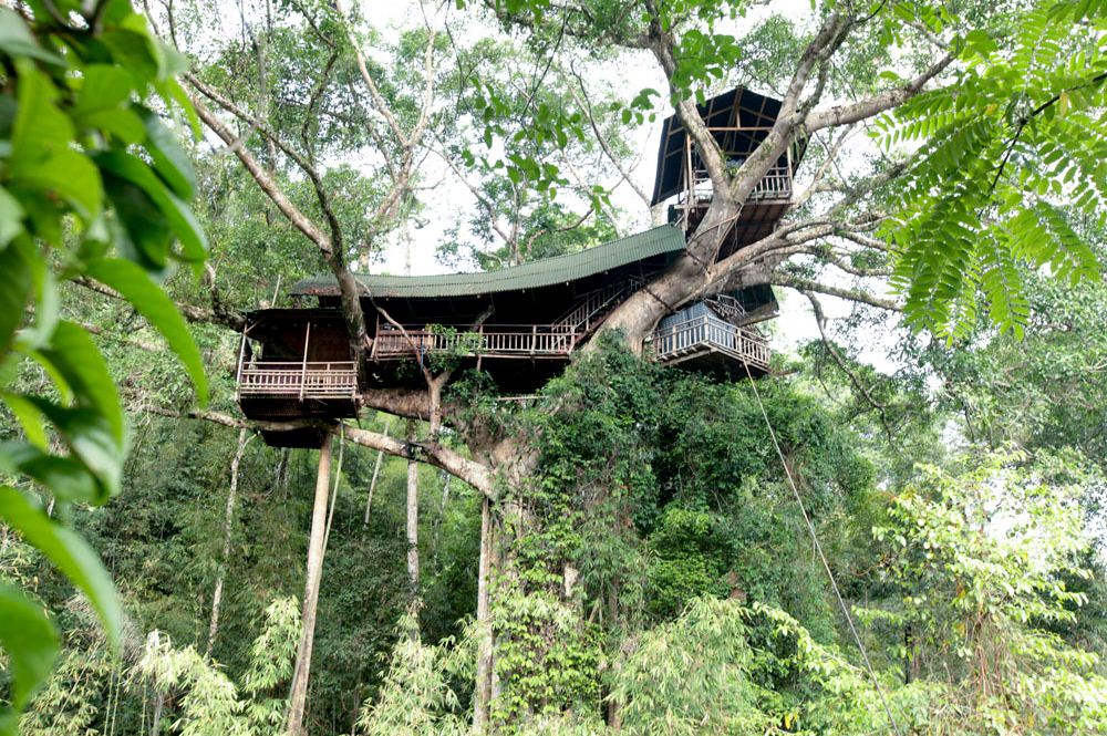 7 bokeo nature reserve ban houayxay bokeo province laos tourist attractions photos things to do getting there gibbon experience (17)