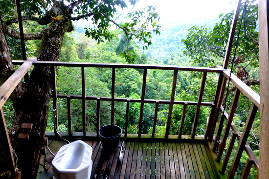 1 bokeo nature reserve ban houayxay bokeo province laos tourist attractions photos things to do getting there gibbon experience (13)