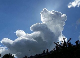 Winnie the Pooh Cloud