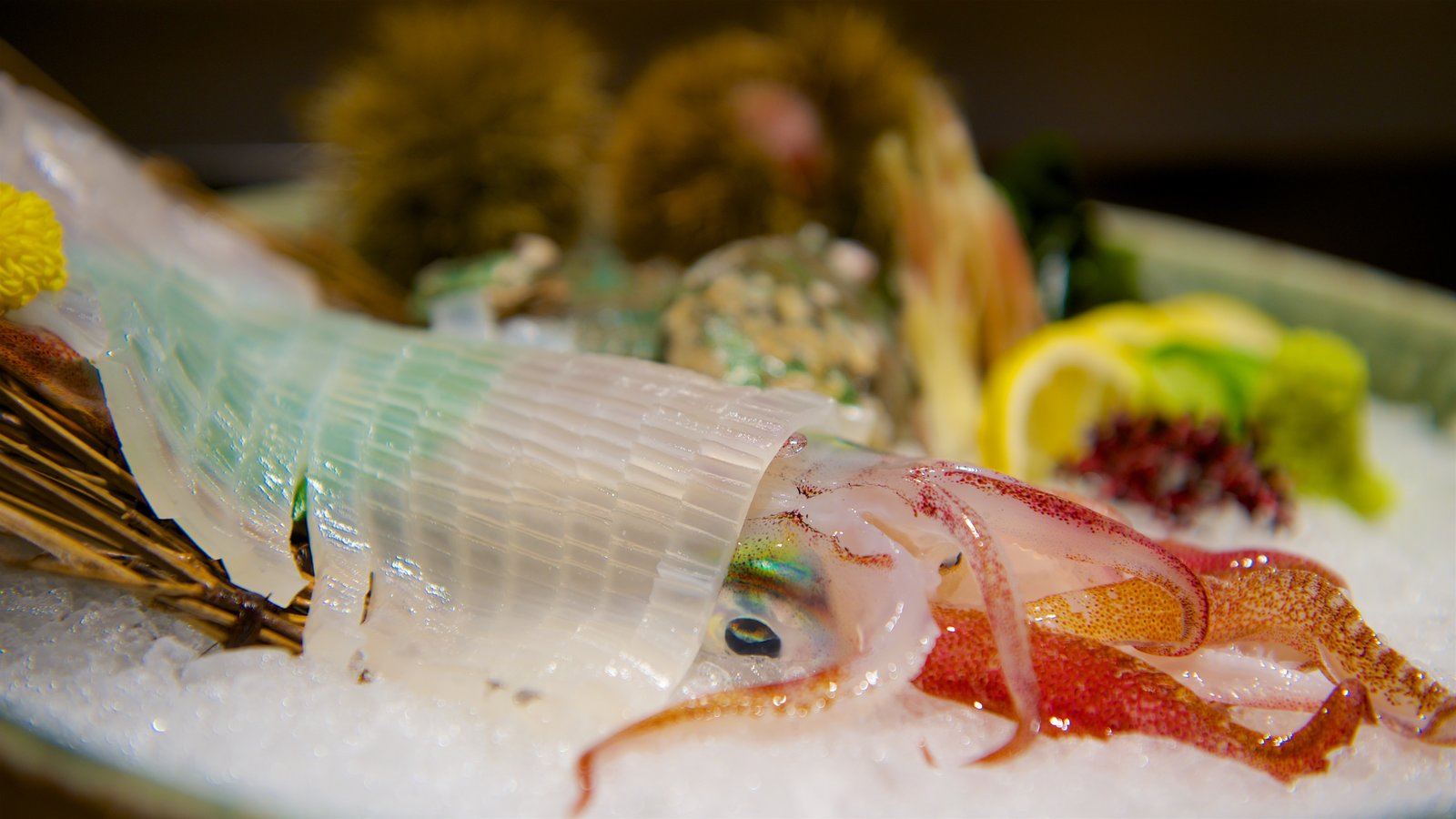 Fukuoka squid sashimi