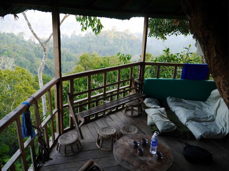 5 bokeo nature reserve ban houayxay bokeo province laos tourist attractions photos things to do getting there gibbon experience