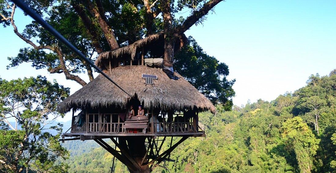 5 bokeo nature reserve ban houayxay bokeo province laos tourist attractions photos things to do getting there gibbon experience