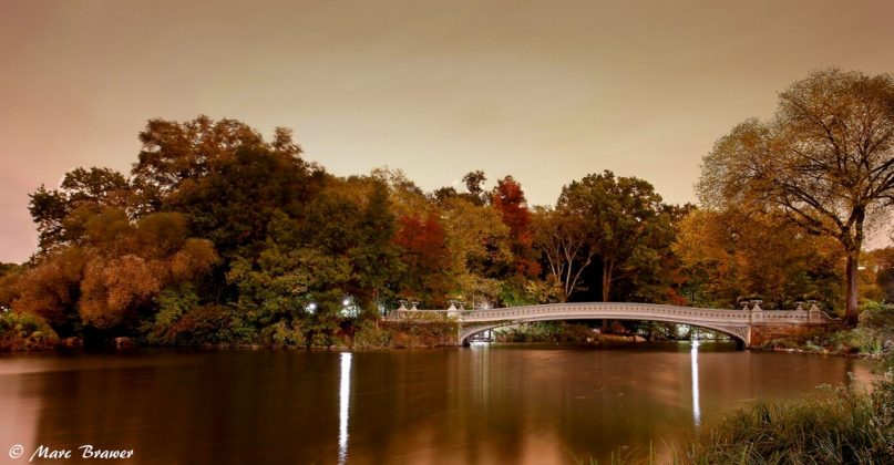 Central Park at dusk, New York, US 2