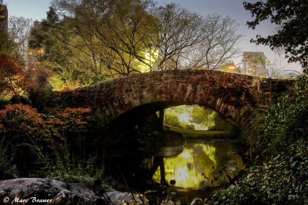 Central park at dusk, New York, US