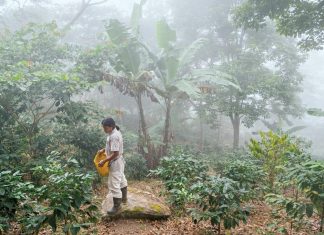 El Trompito, Colombia’s coffee towns
