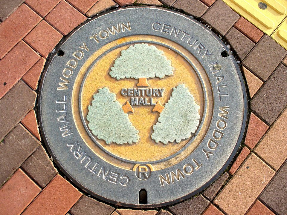 Japanese-manhole-cover-art by S.Morita photographer (1)