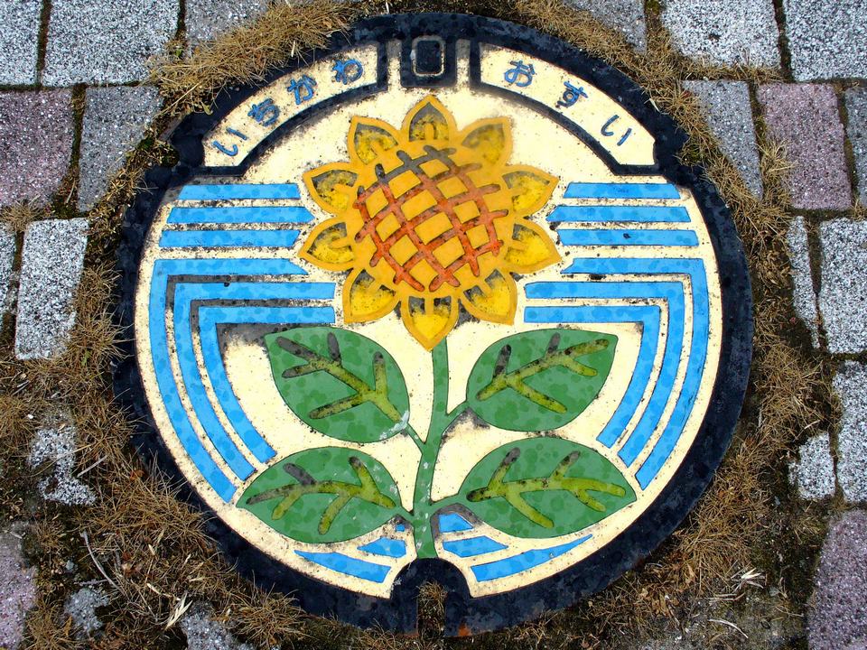 Japanese-manhole-cover-art by S.Morita photographer (12)