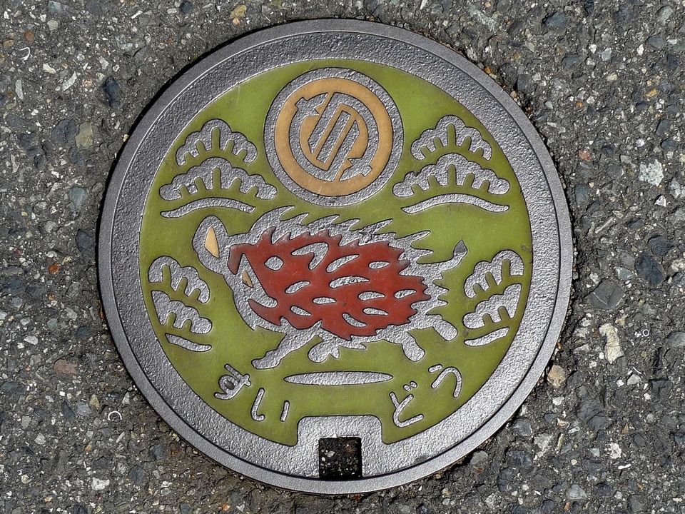 Japanese-manhole-cover-art by S.Morita photographer