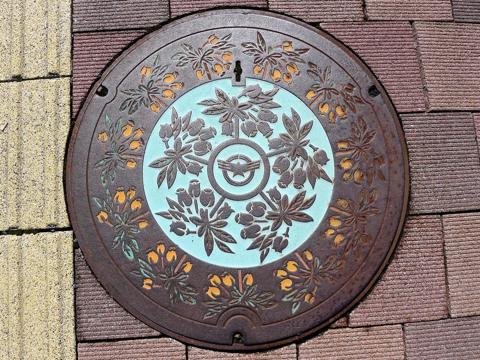 Japanese-manhole-cover-art by S.Morita photographer