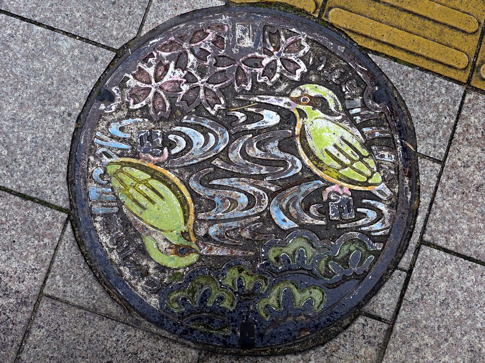 Japanese-manhole-cover-art by S.Morita photographer (8)