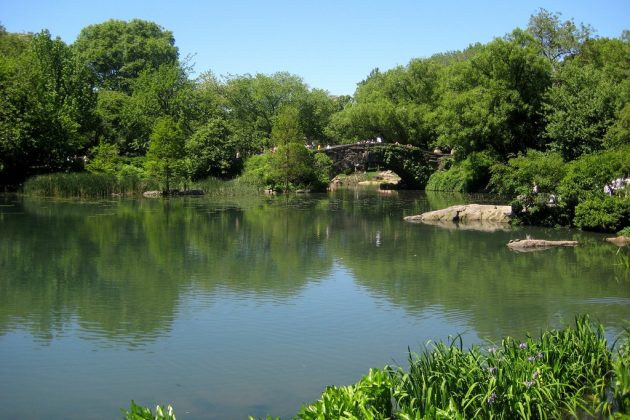 The Pond, central park, new york, us