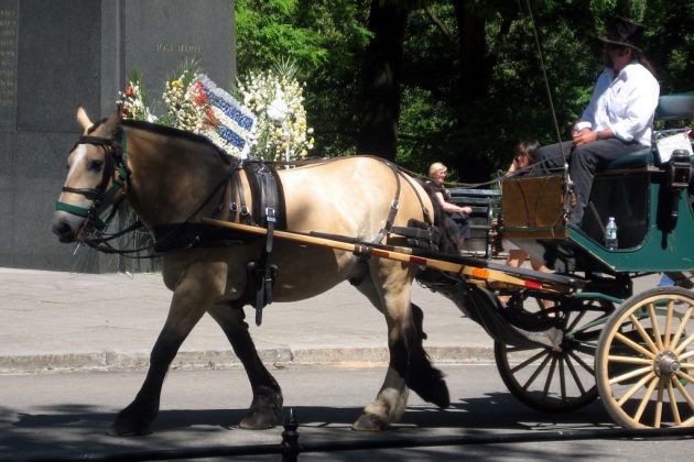 Vis-&agrave;-vis Carriage, central park, new york, us