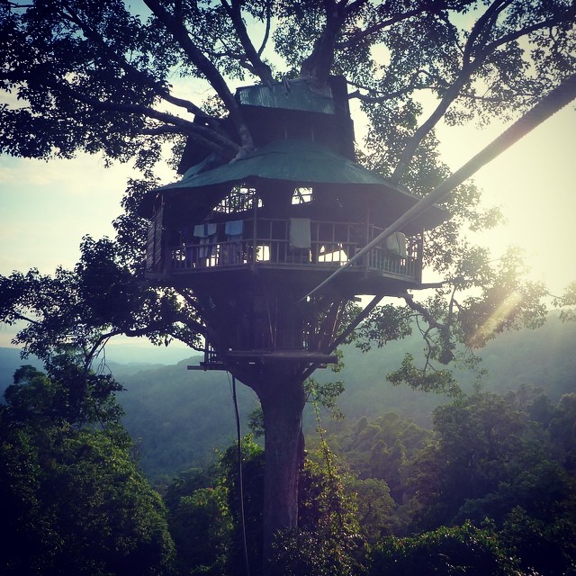 bokeo nature reserve ban houayxay bokeo province laos tourist attractions photos things to do getting there gibbon experience (10)