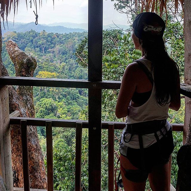 bokeo nature reserve ban houayxay bokeo province laos tourist attractions photos things to do getting there gibbon experience (13)