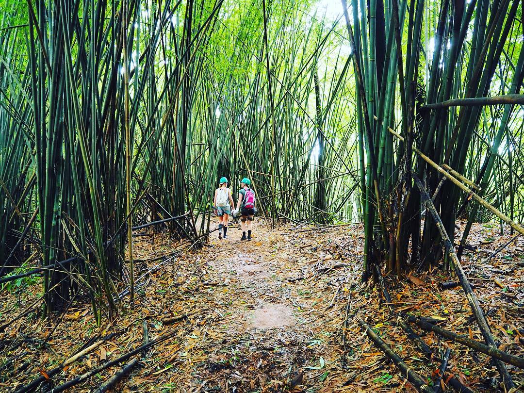 bokeo nature reserve ban houayxay bokeo province laos tourist attractions photos things to do getting there gibbon experience (1)