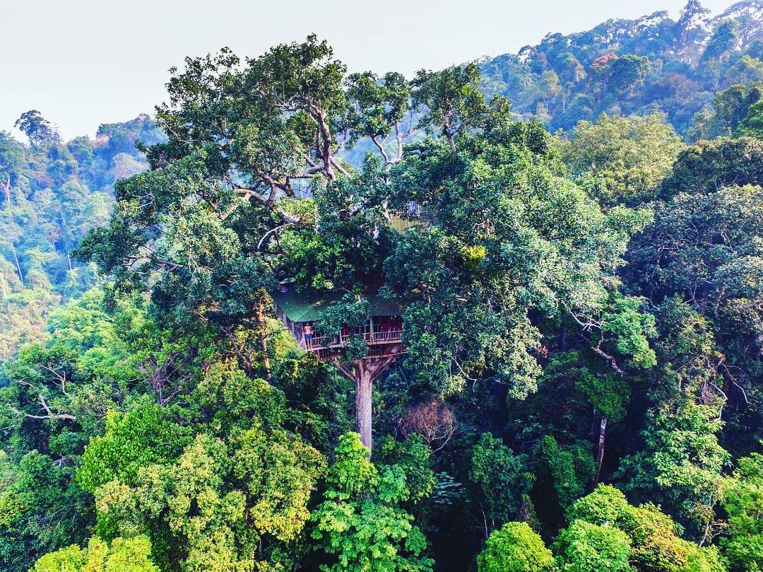 bokeo nature reserve ban houayxay bokeo province laos tourist attractions photos things to do getting there gibbon experience (1)