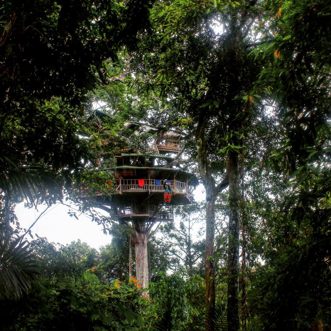 bokeo nature reserve ban houayxay bokeo province laos tourist attractions photos things to do getting there gibbon experience (5)