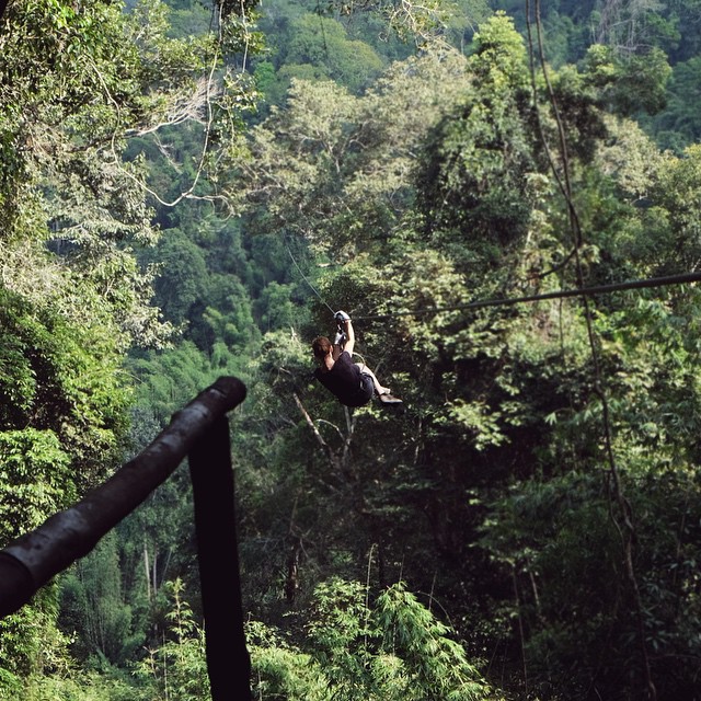 bokeo nature reserve ban houayxay bokeo province laos tourist attractions photos things to do getting there gibbon experience (7)