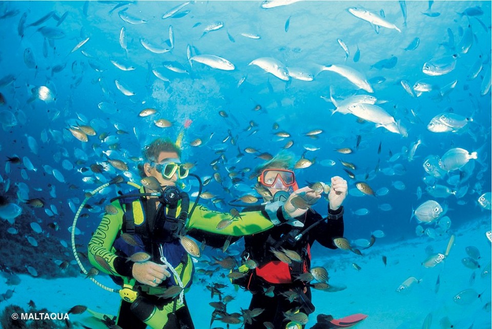 diving malta island nation photo photography tourist attractions