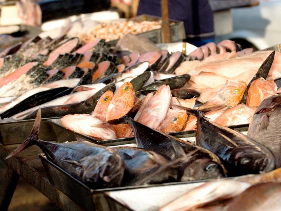 fish market malta island nation photo photography tourist attractions