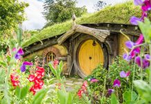 1 hobbiton new zealand (3)